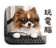 855202034