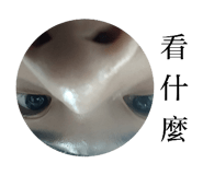 855202711