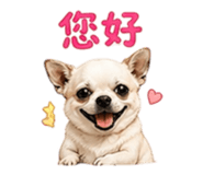 855203017