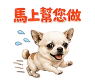 855203019