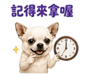 855203023