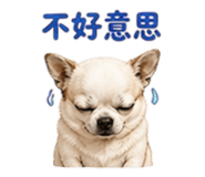 855203025