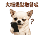 855203027