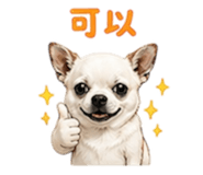 855203029
