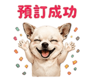 855203030