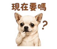 855203036