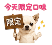 855203039