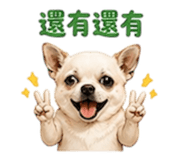 855203042