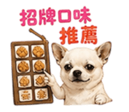 855203050