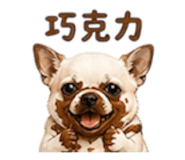 855203055