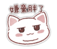 855203082