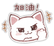 855203084