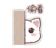 855203095