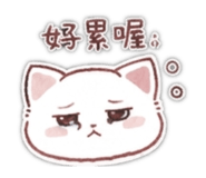855203102