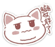 855203120