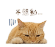 855203182