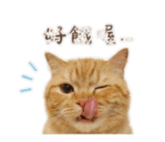 855203183