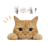 855203186