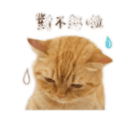 855203191