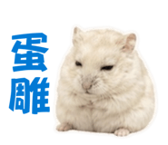 855203440