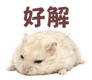 855203441