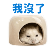 855203443
