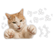 855203970