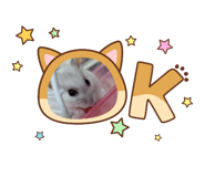 855210538