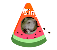 855210542