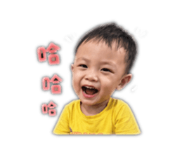 855213113