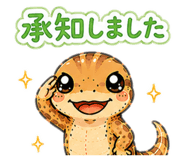 855243211