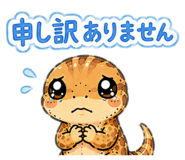 855243212