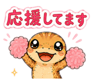 855243214