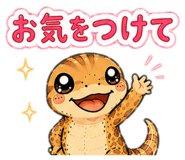 855243217