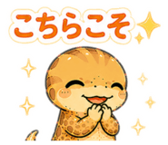 855243218