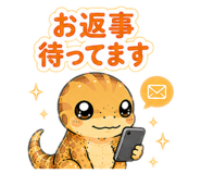 855243221