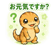 855243237