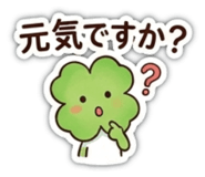 855243720