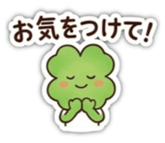 855243725