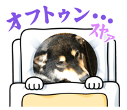 855244421
