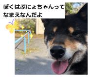 855244424