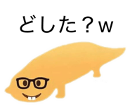 855245125