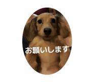 855245277