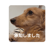 855245279