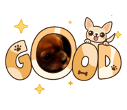 855245651