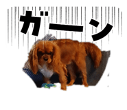 855245652