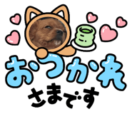 855245671