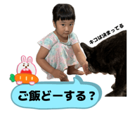 855245968