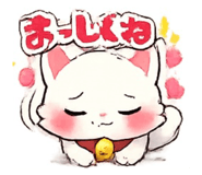 855246404