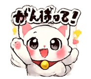 855246406